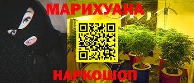 стаф Нальчик