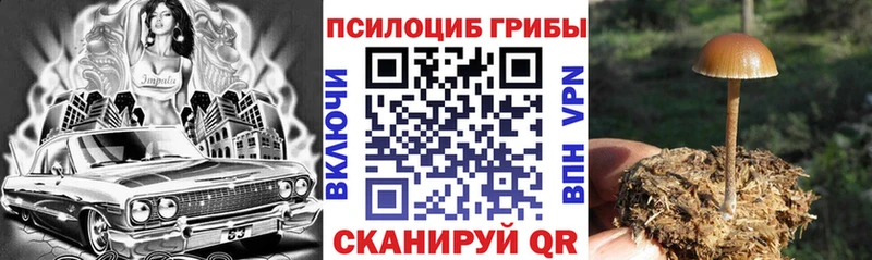 Псилоцибиновые грибы мухоморы Набережные Челны