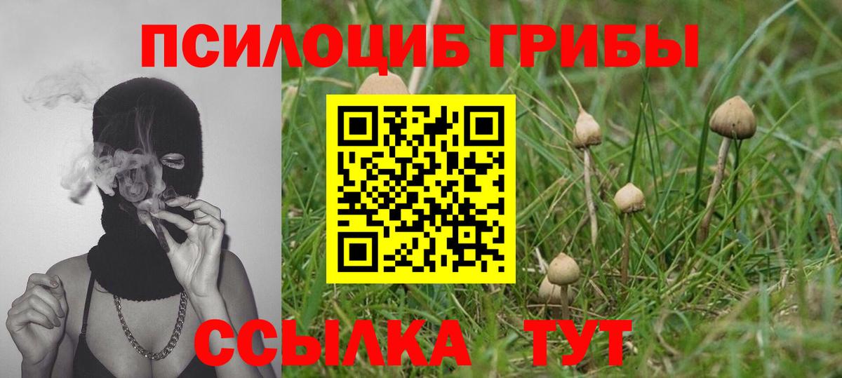 закладка  Вход с VPN  Набережные Челны  Галлюциногенные грибы Psilocybe 